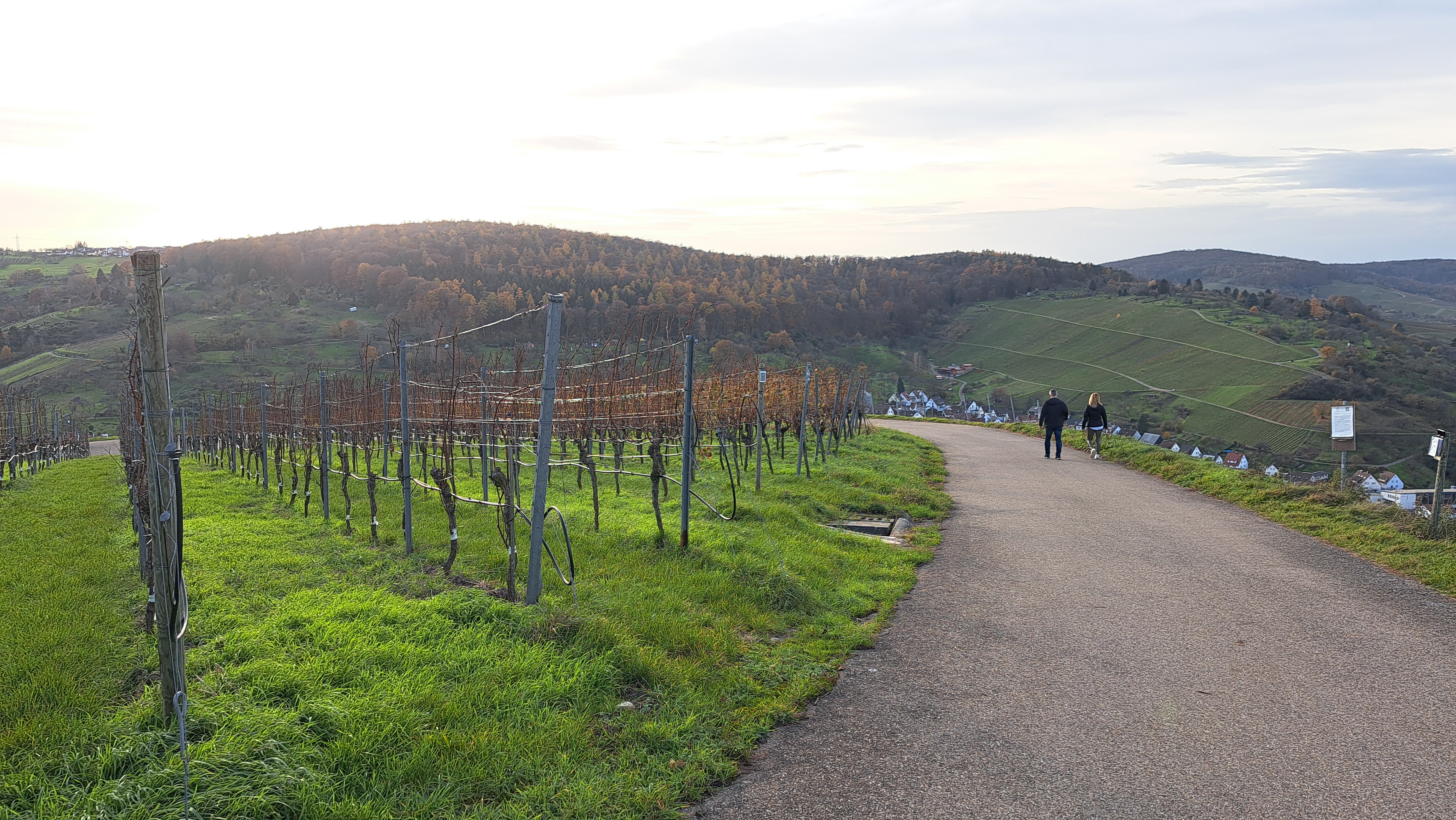 Genusswanderung durch das Remstal